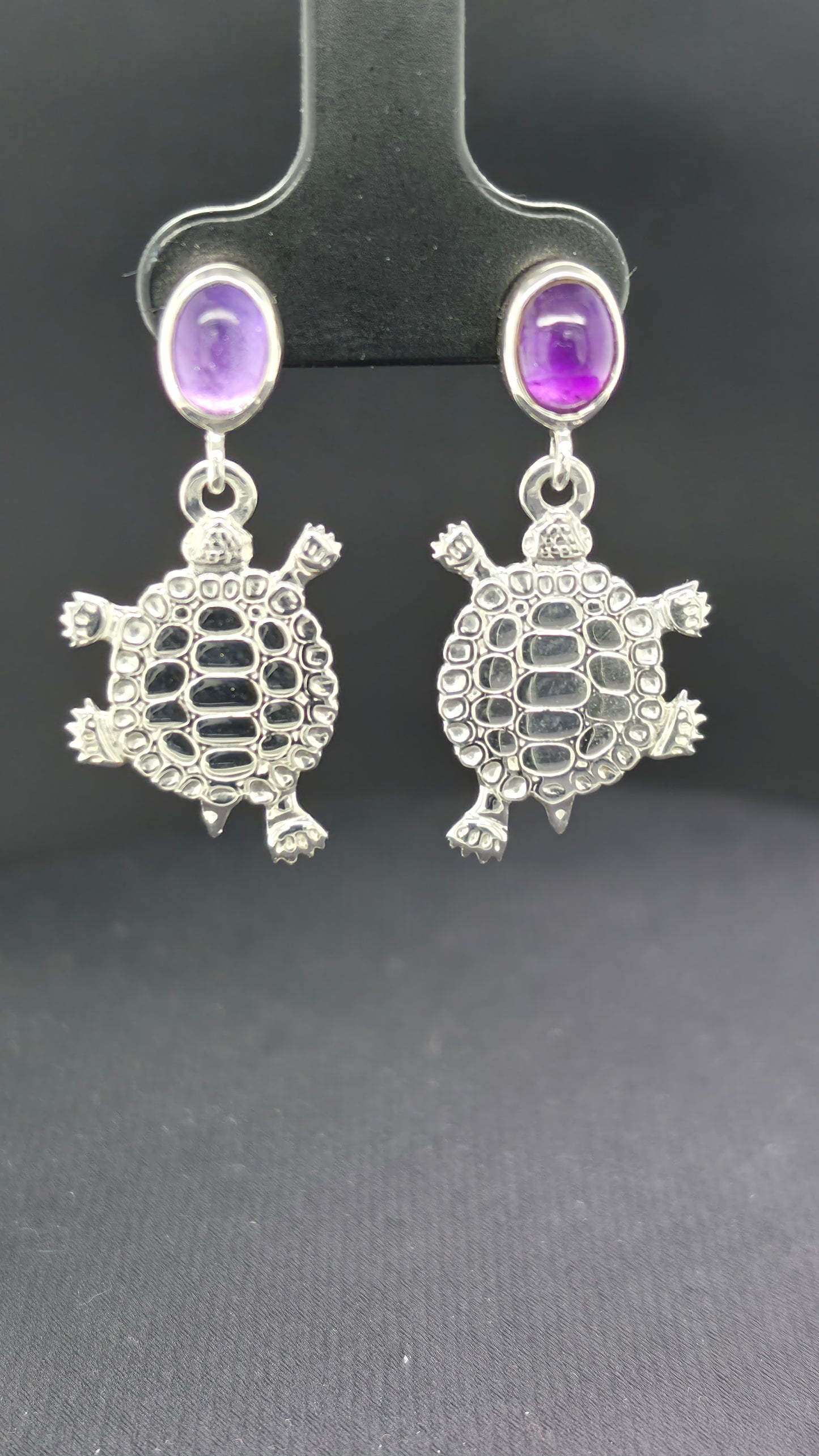 Turtle Teachings Earrings w/Inlay