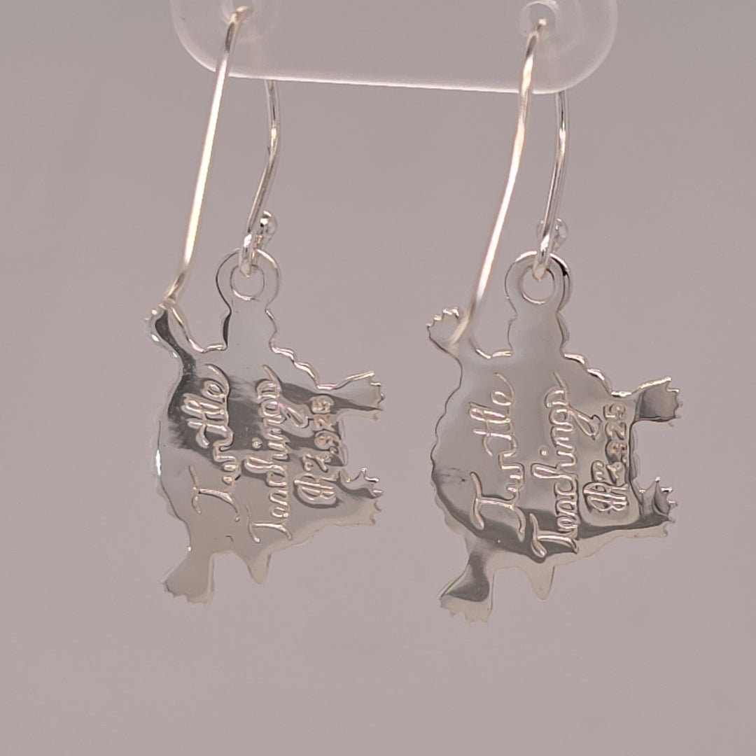 Small Turtle Teachings Earrings