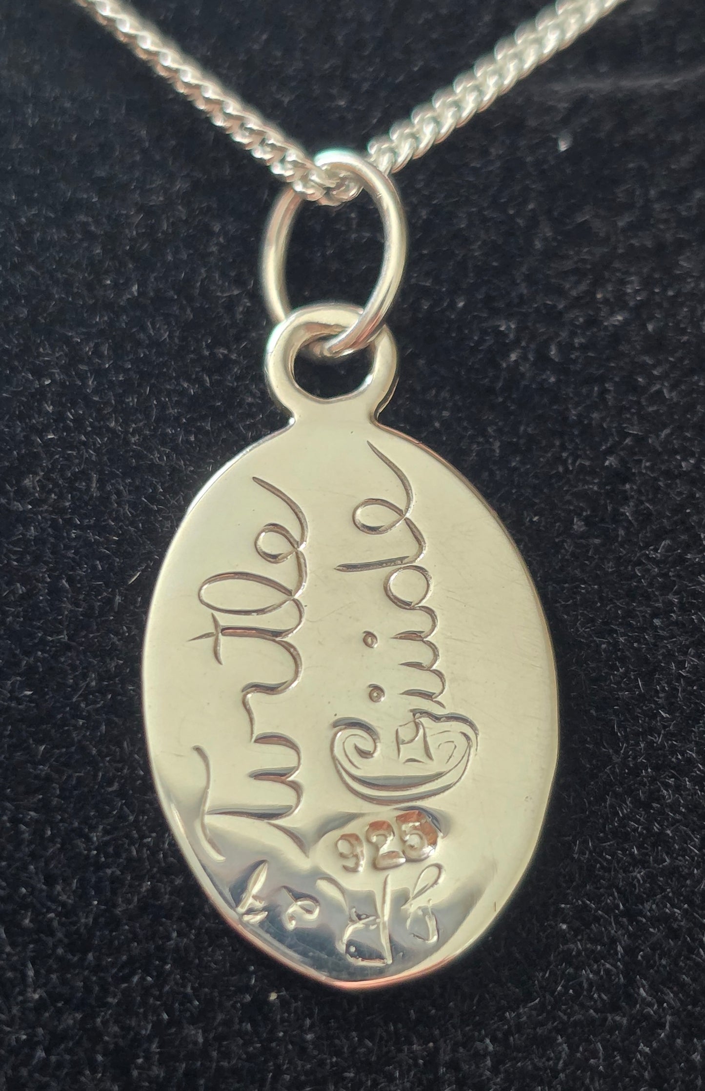 Turtle Guide Silver Pendant