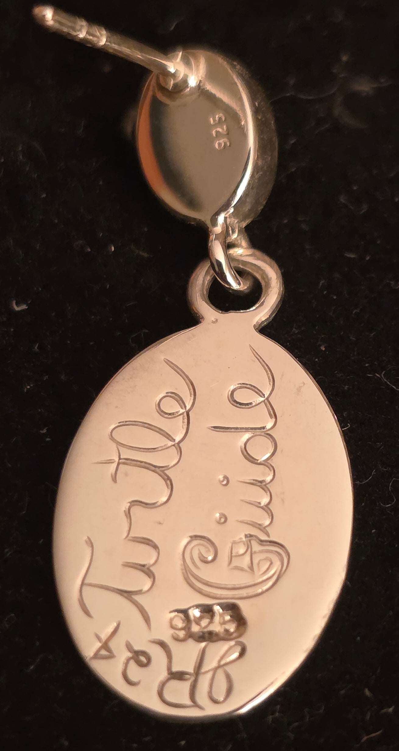 Turtle Guide Silver Earrings Inlay