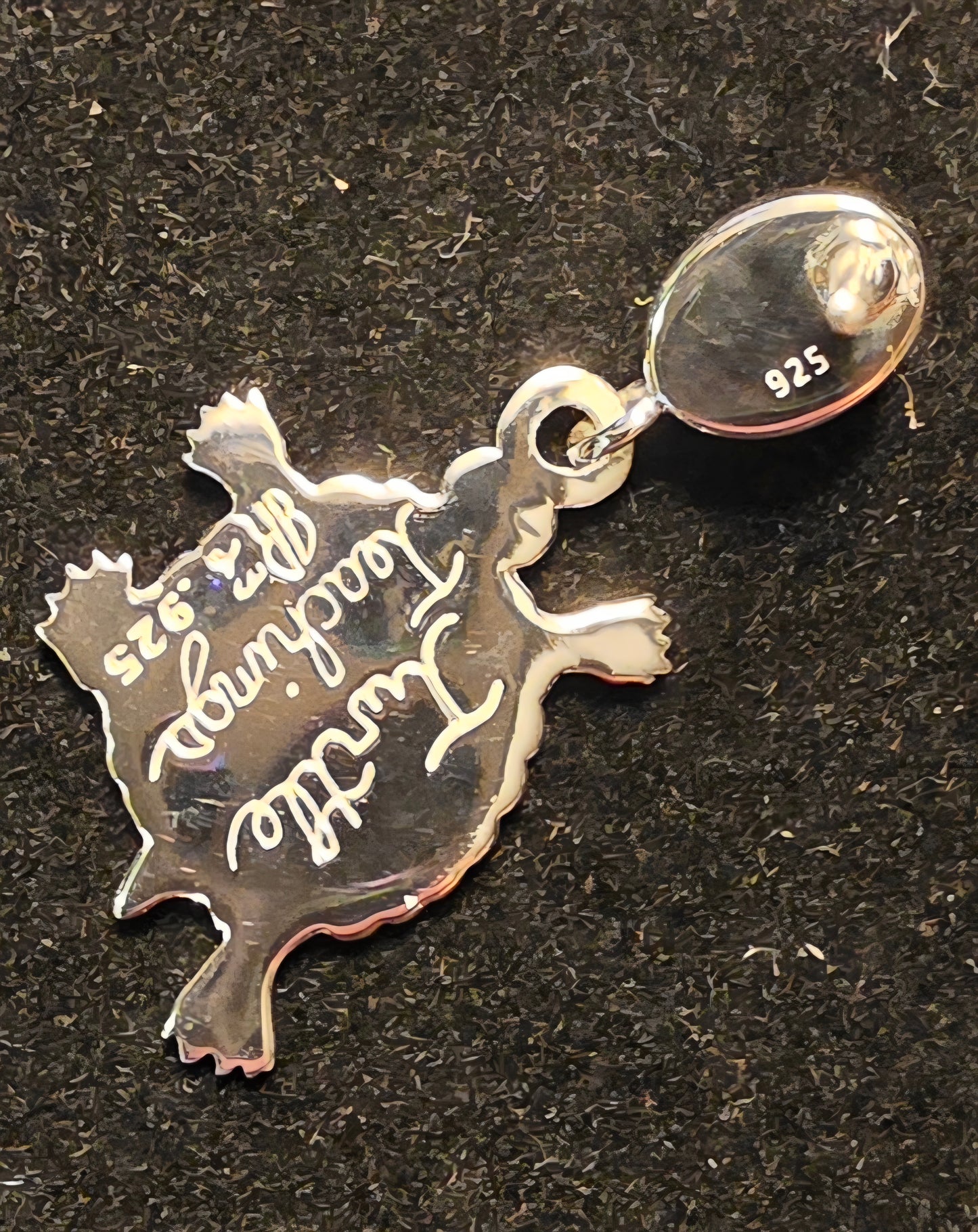 Small Turtle Teachings Earrings WIth Inlay