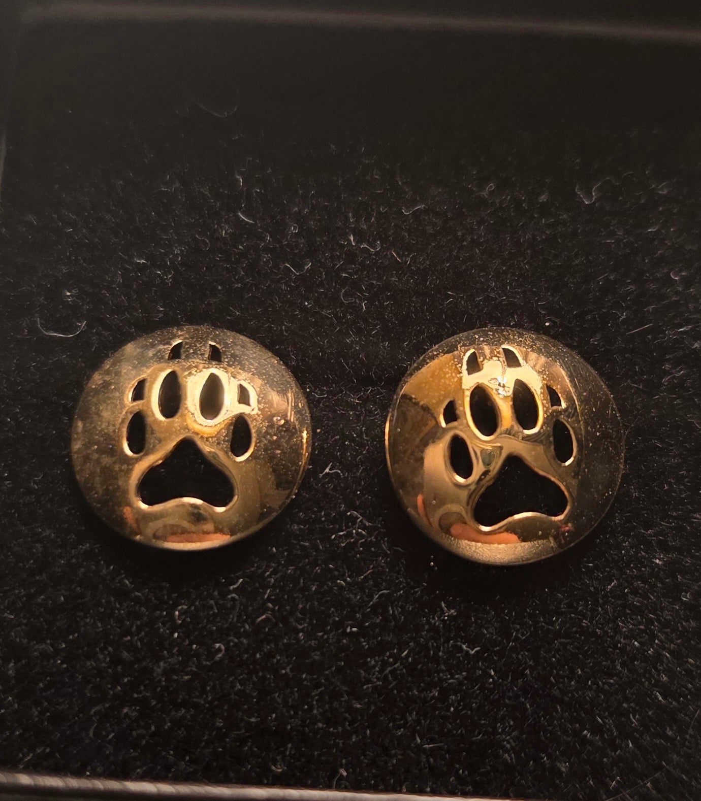 Little Wolf Track – Studs