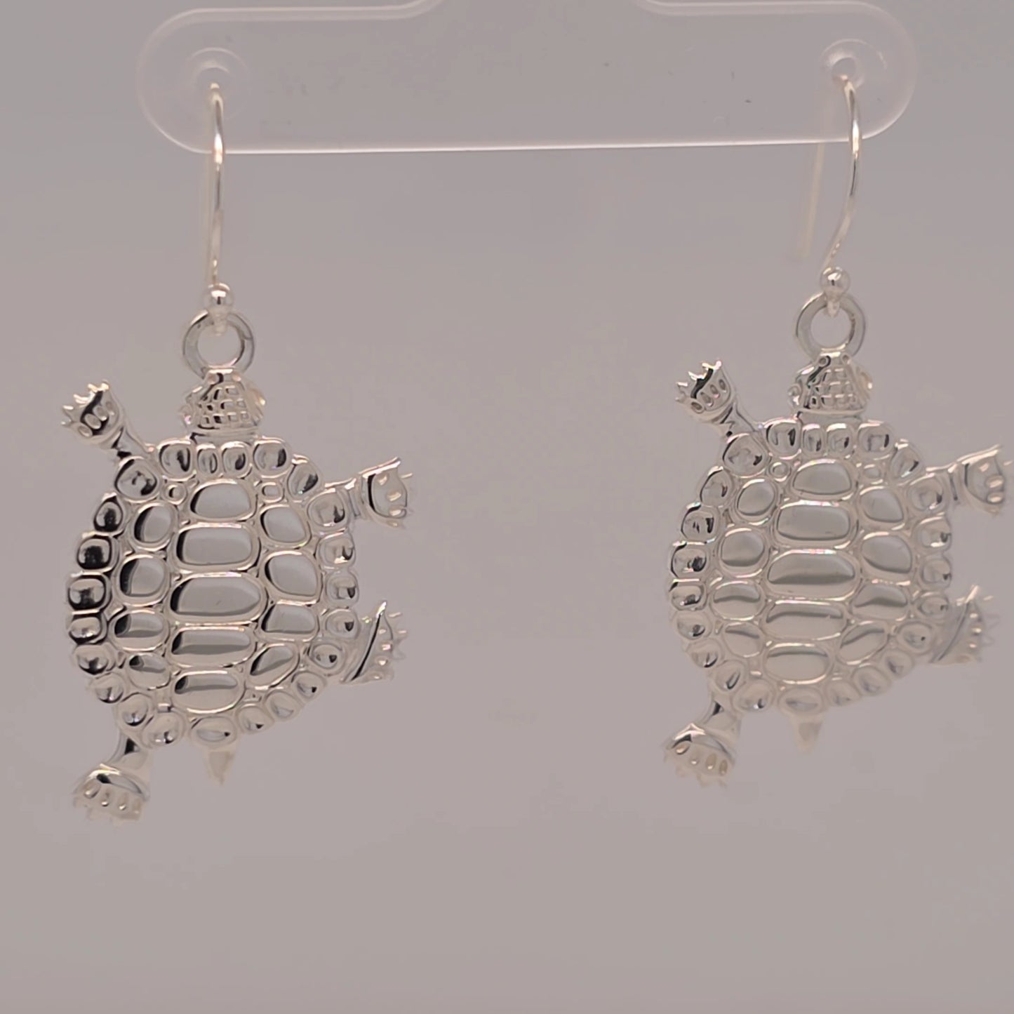 Medium Turtle Teachings Earring