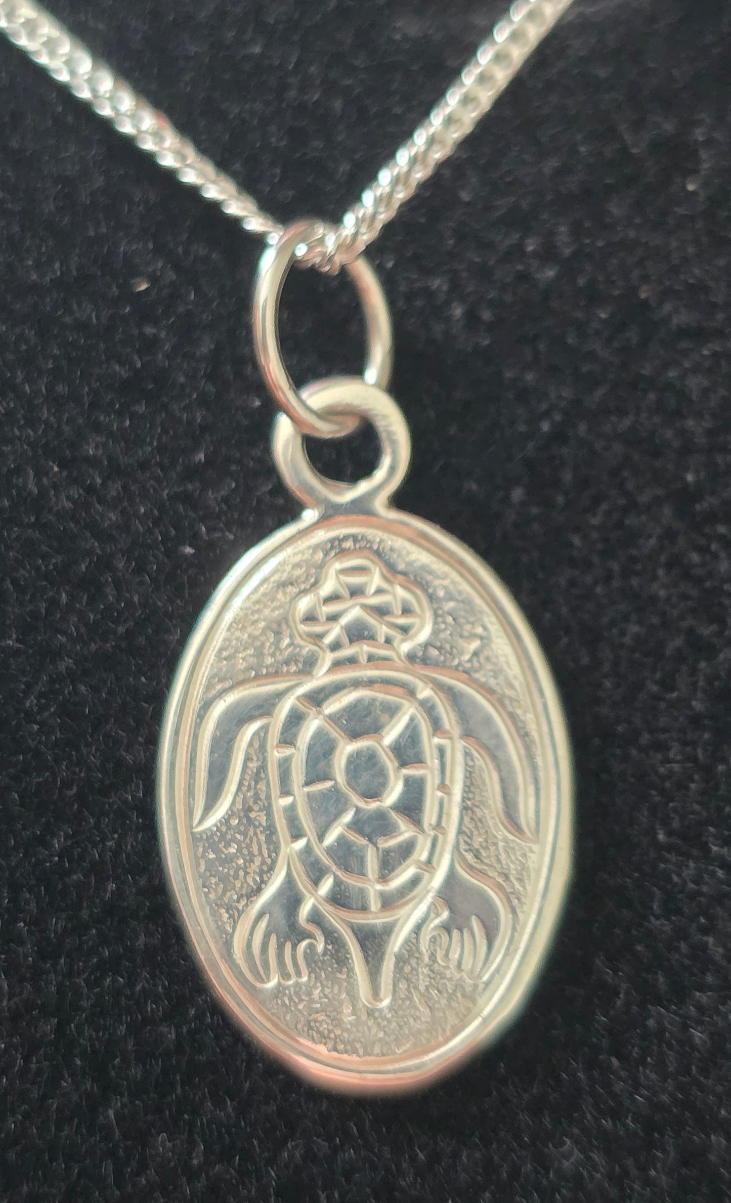 Turtle Guide Silver Pendant