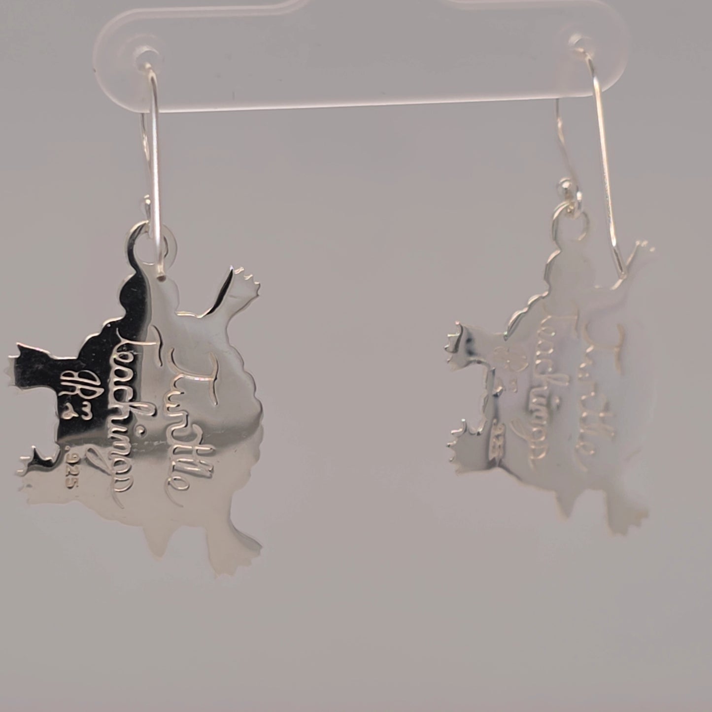 Medium Turtle Teachings Earring