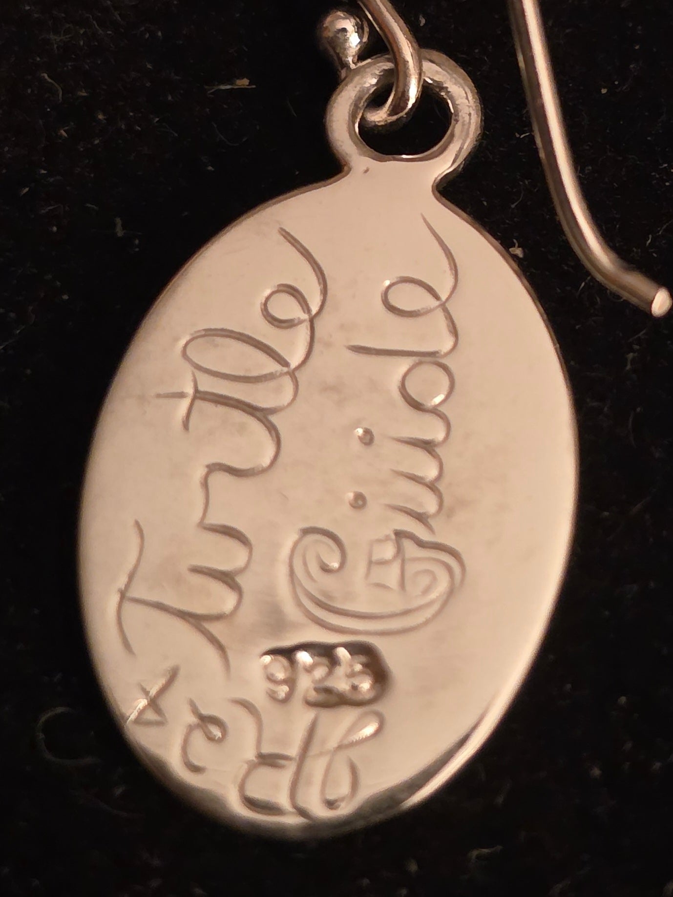 Turtle Guide Silver Earrings