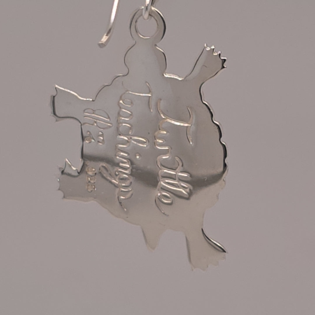 Large Turtle Teachings Pendant