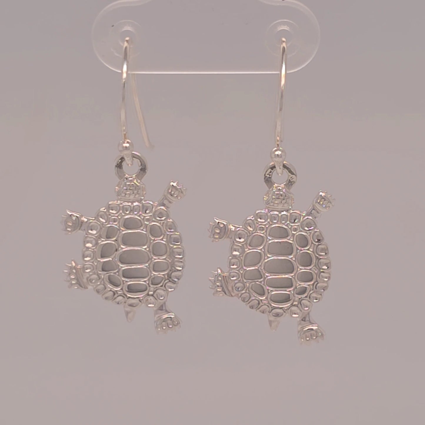 Small Turtle Teachings Earrings