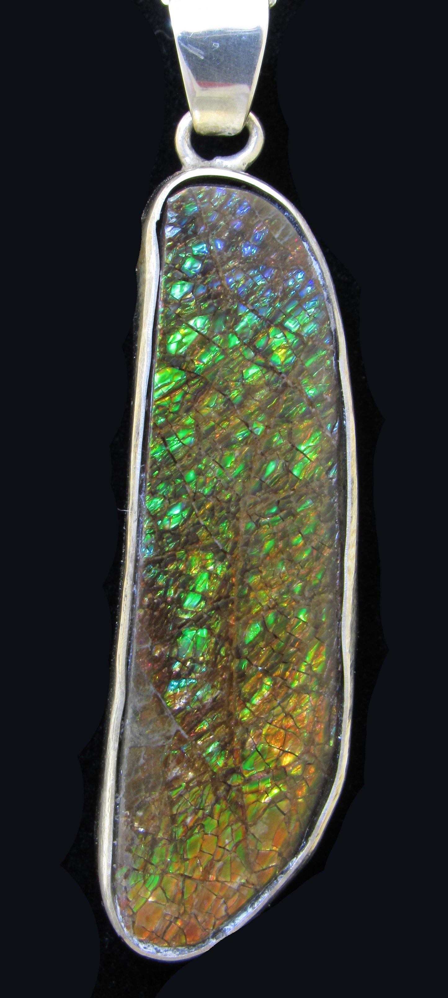 Ammolite Silver Pendant With Chain