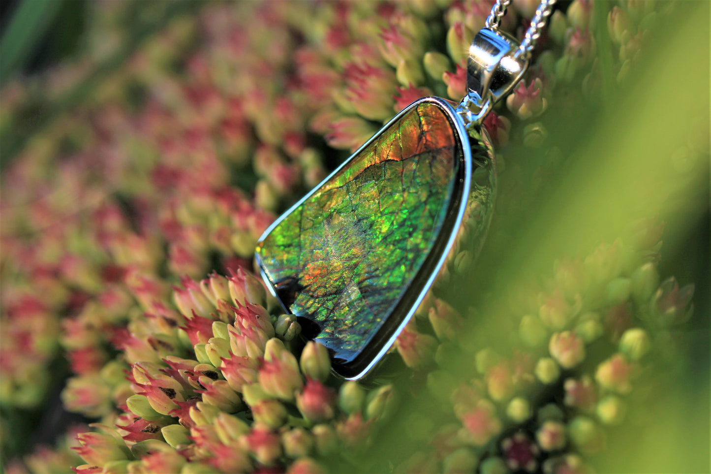 Ammolite Silver Pendant With Chain