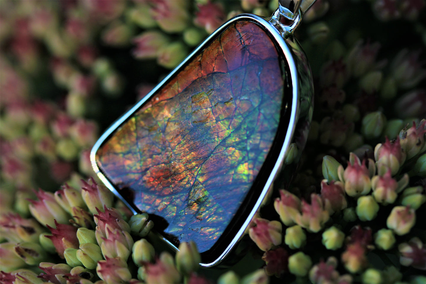 Ammolite Silver Pendant With Chain