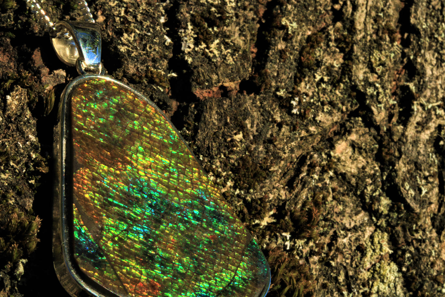 Ammolite Silver Pendant With Silver Chain