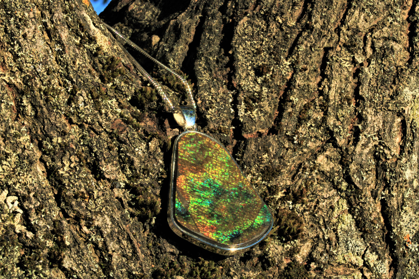 Ammolite Silver Pendant With Silver Chain