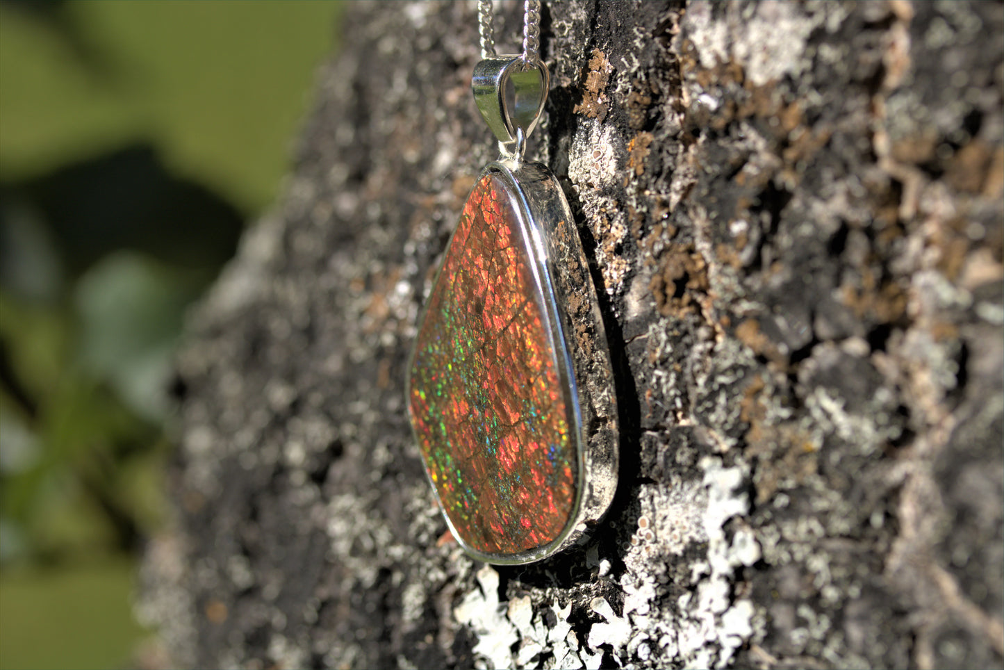 Ammolite Silver Pendant With Chain