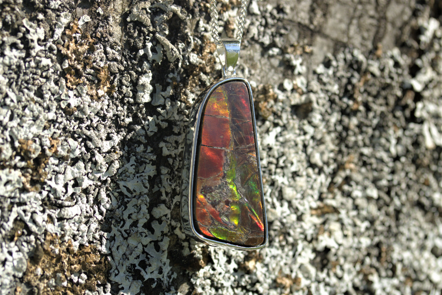 Ammolite Silver Pendant With Silver Chain
