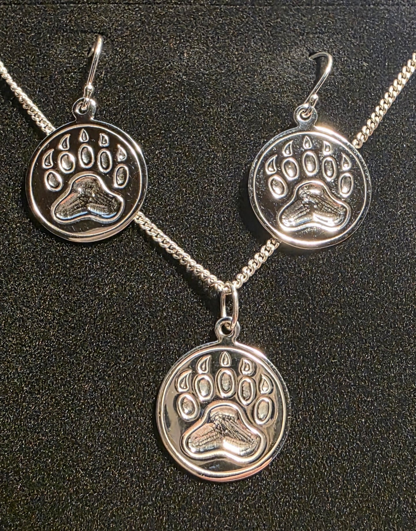 Medicine Tracker Earring Pendant Set