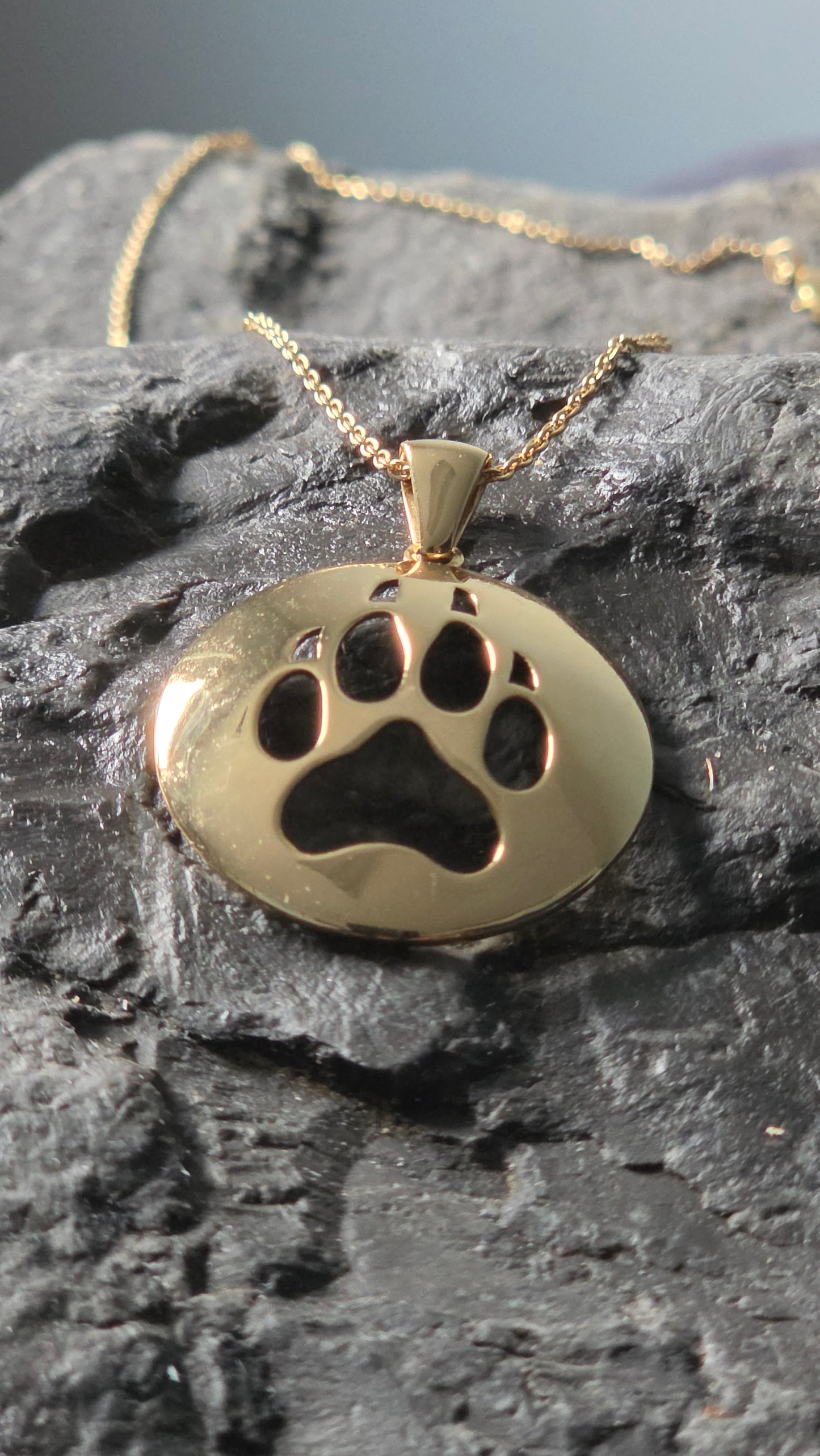 Spirit of the Pack
