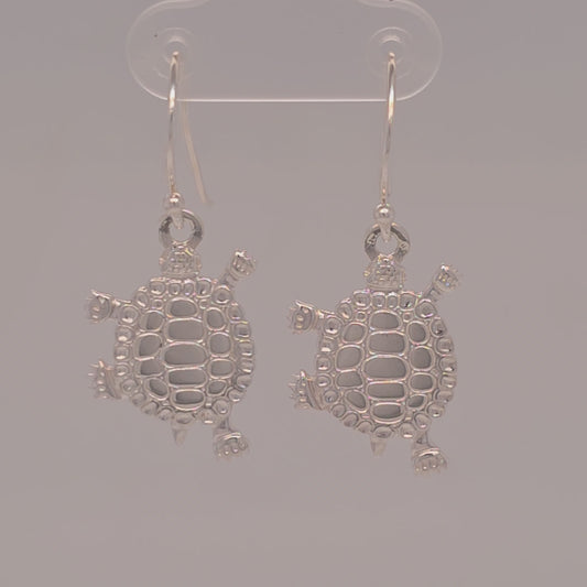 WS-Sm Turtle Teachings Ear