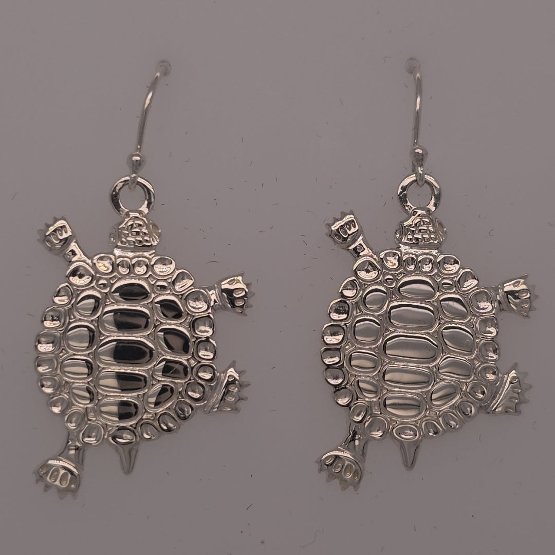 Si Sm Turtle Teachings Ear WS
