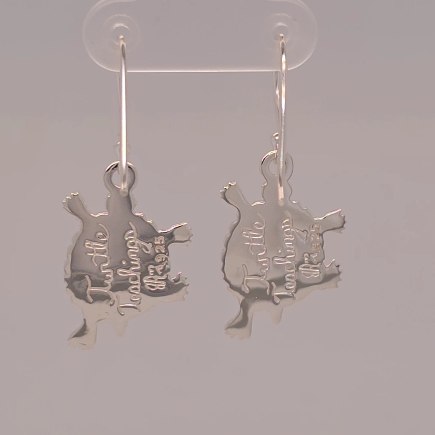 Si Sm Turtle Teachings Ear WS