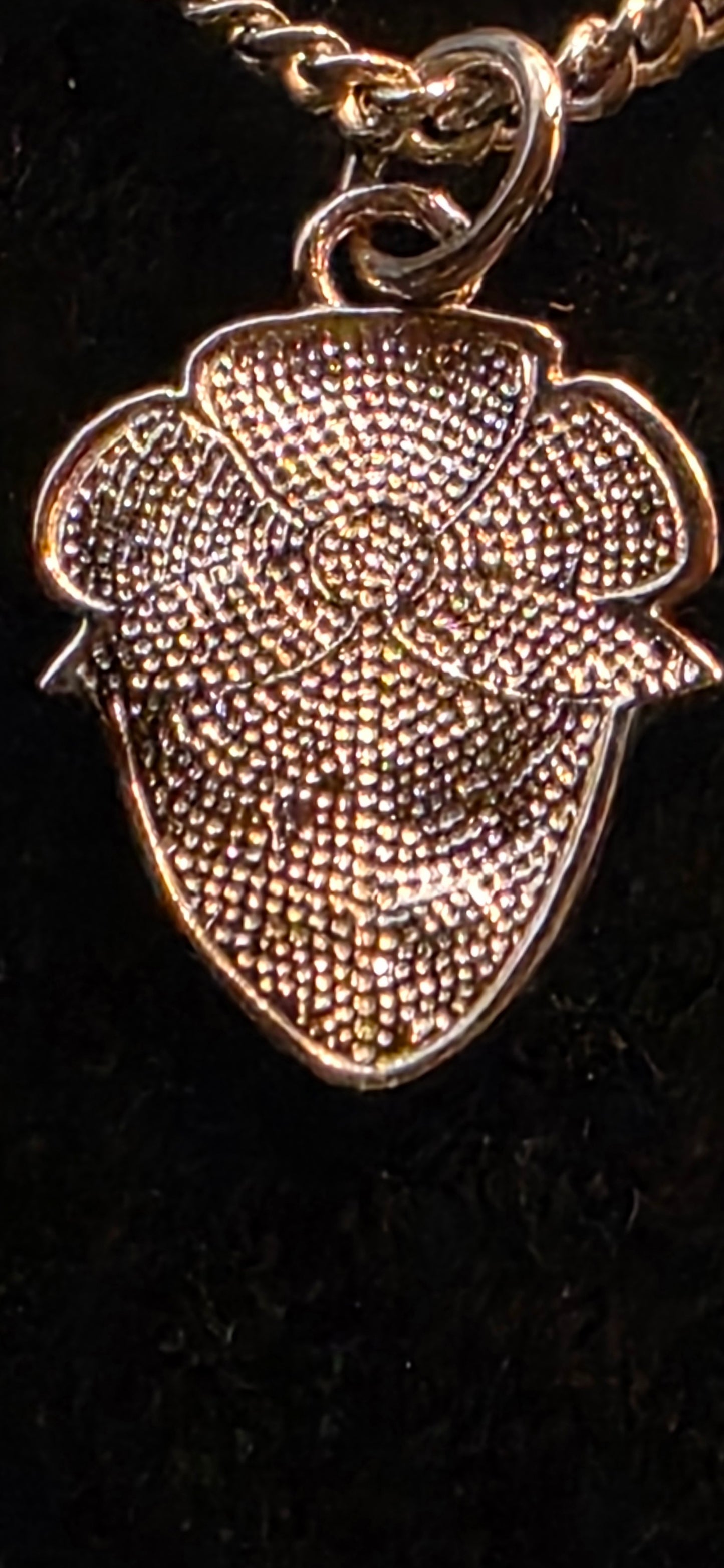 Grandmother’s Heart Berry – Pendant