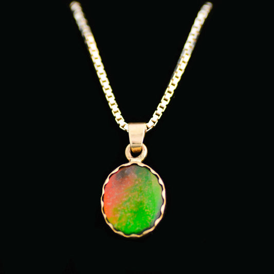 Ammolite Gold Pendant with Chain