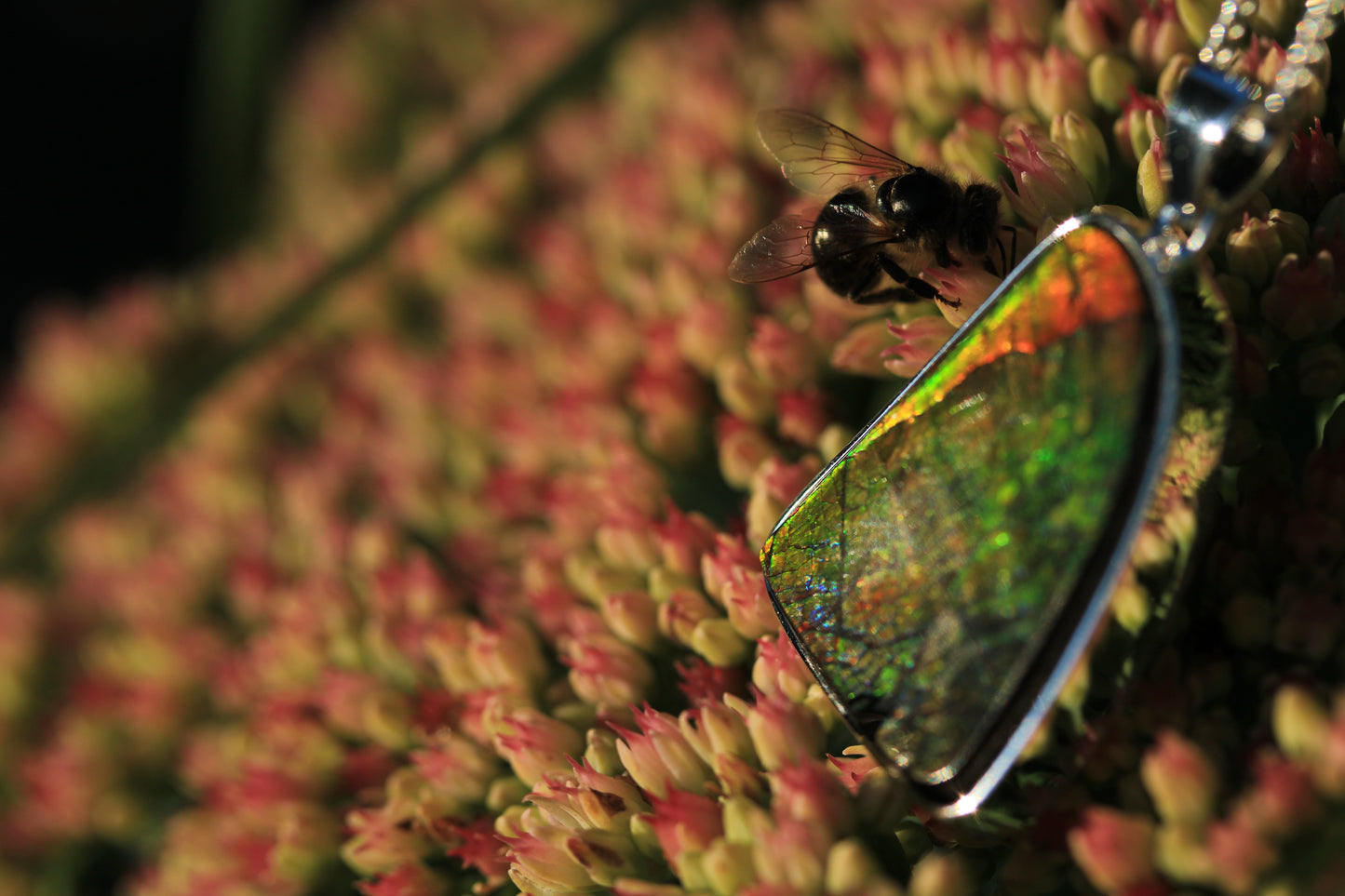 Ammolite Silver Pendant With Chain