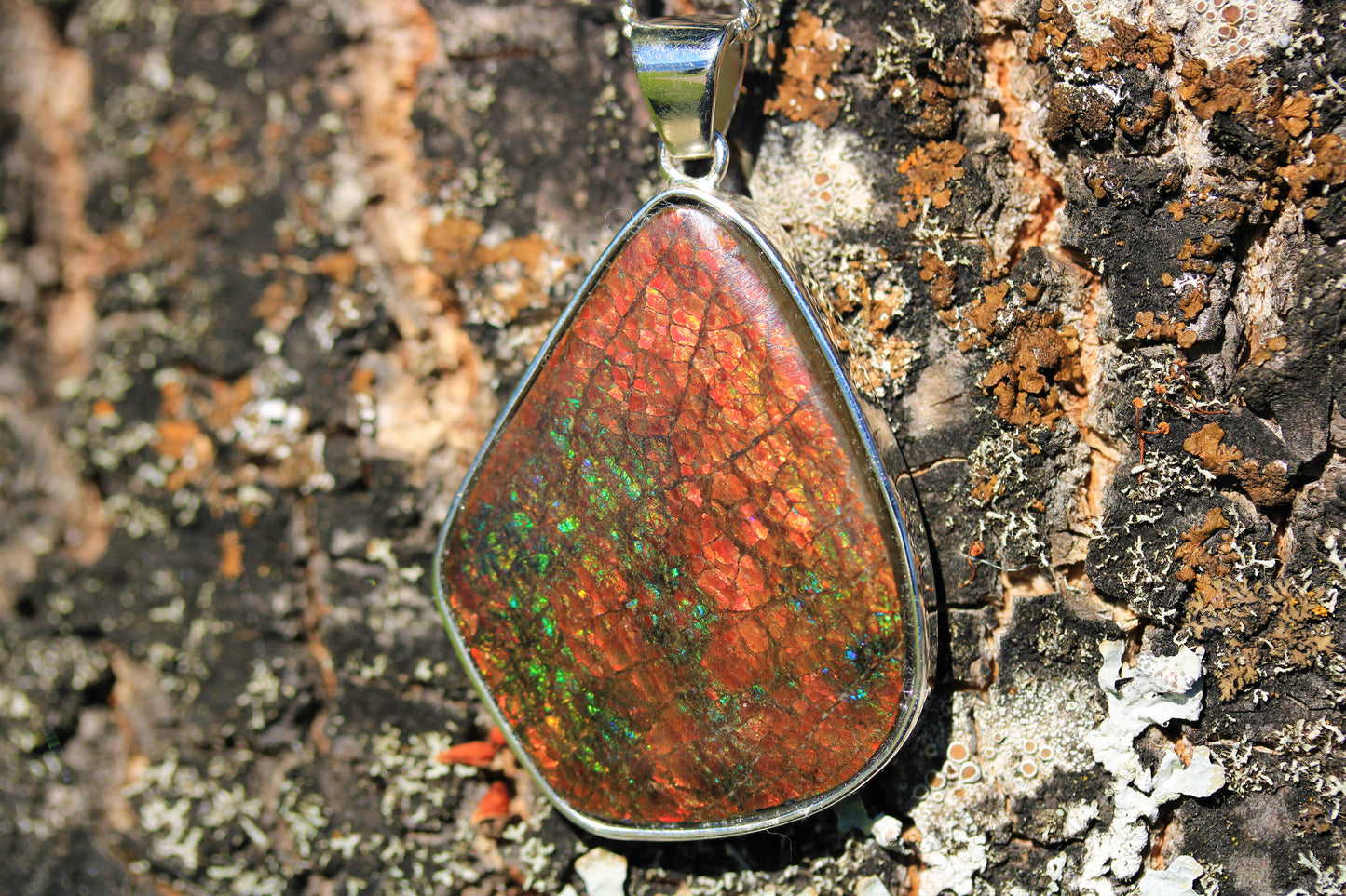 Ammolite Silver Pendant With Chain