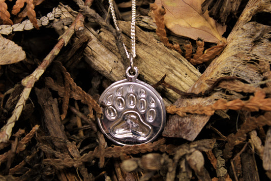 Medicine Tracker Pendant and Silver Chain